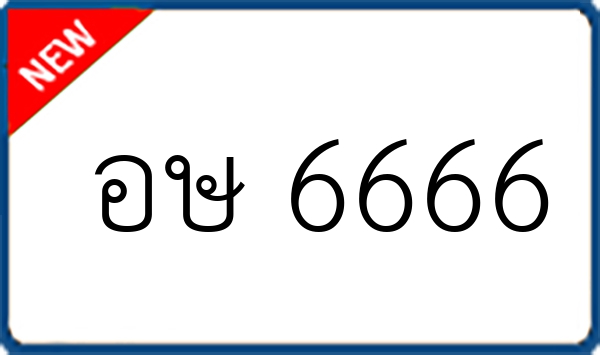 อษ 6666